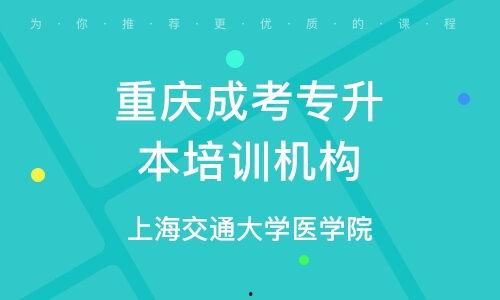 重庆成人高考专升本视频,重庆成人高考专升本视频课程精华概览